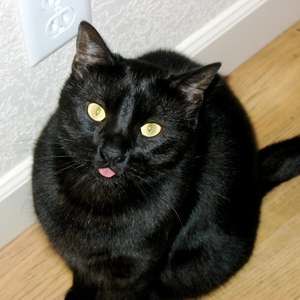 Meet your Posher, Maressa